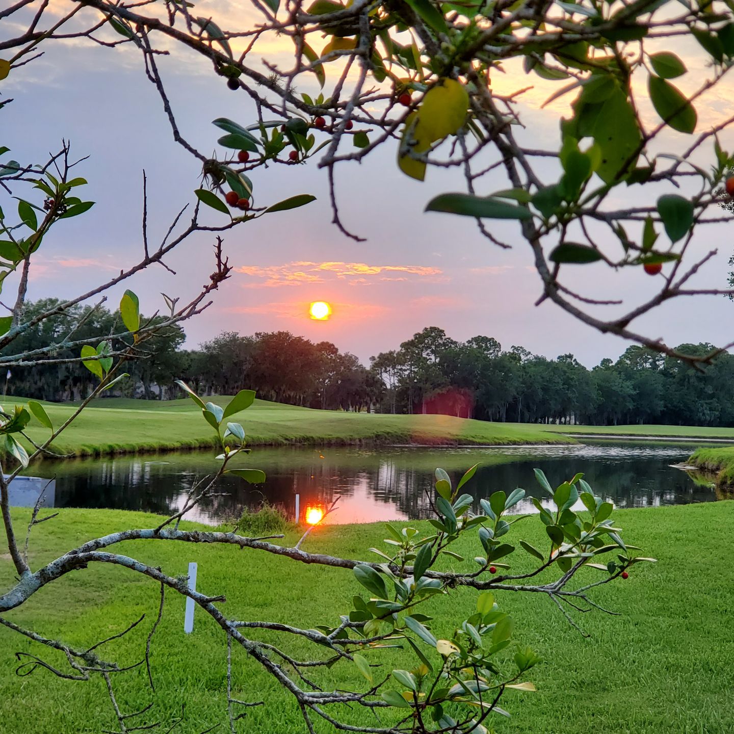 Heron Creek Golf and Country Club Oaks/Marsh Course in North Port