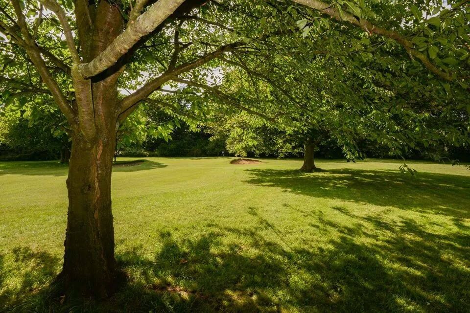 Letchworth Par-3 Family Golf Centre