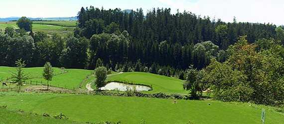 Stuifen Course