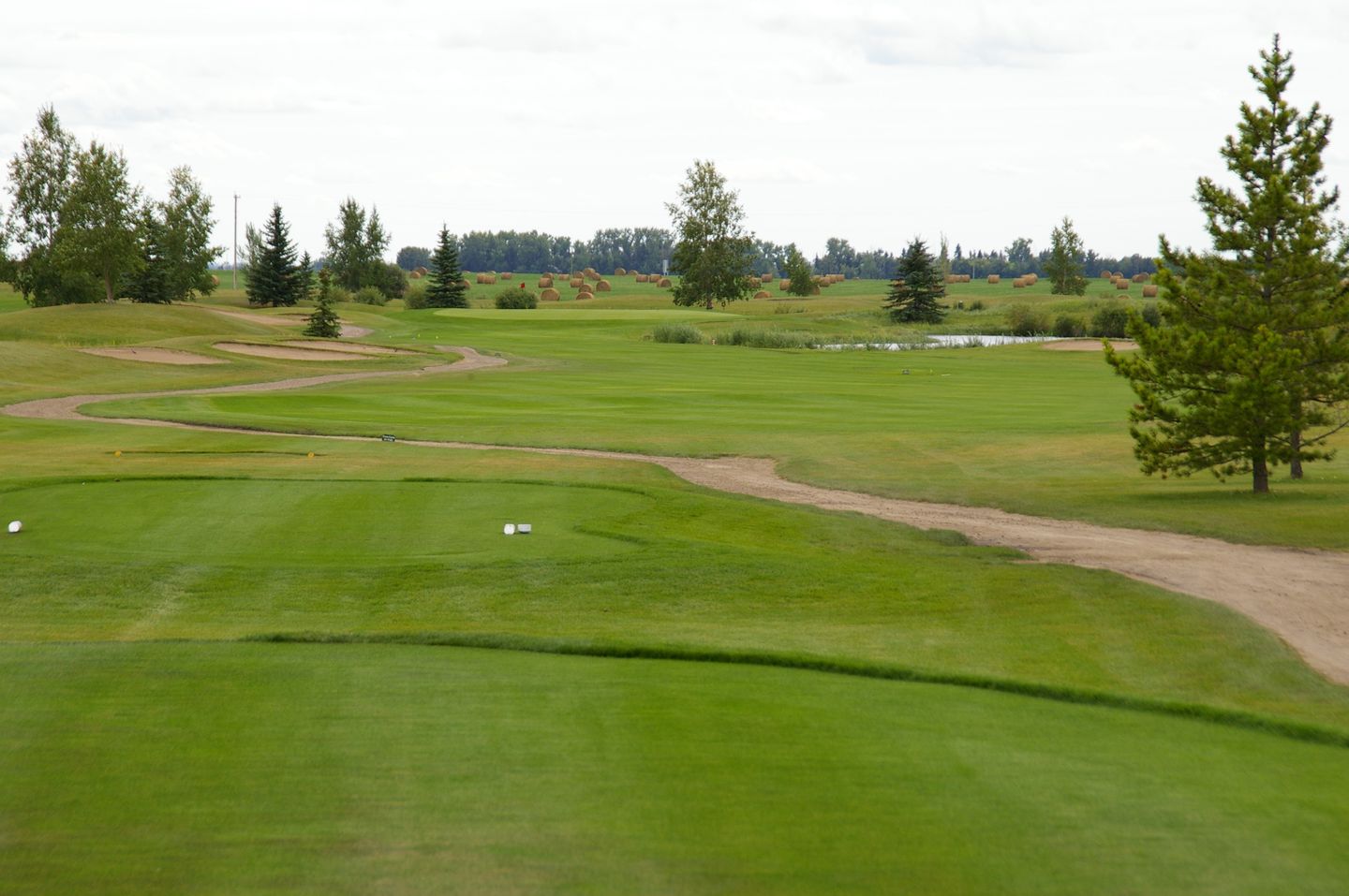 Championship Course