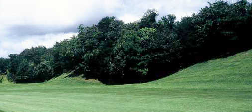 Sakura/Tsubaki Course