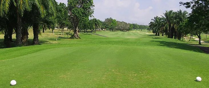 Phoenix Gold Golf & Country Club