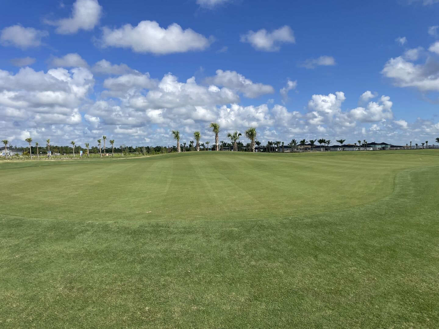 Webbs Reserve Golf Club