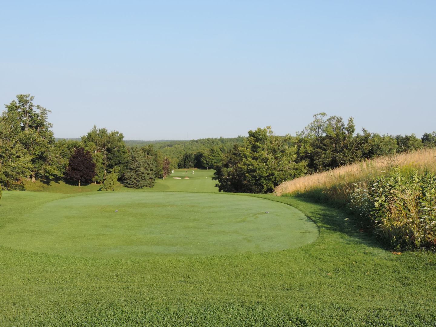 Par-3