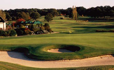 The Forest Course