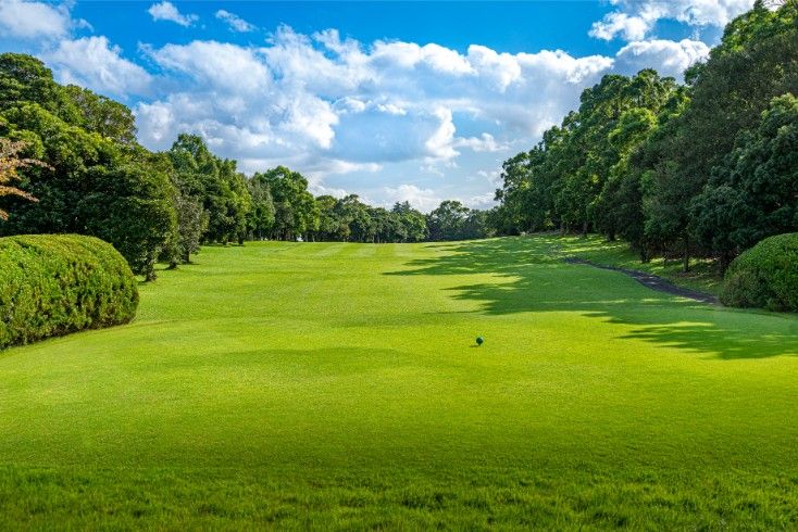 Fist/Azalea Course