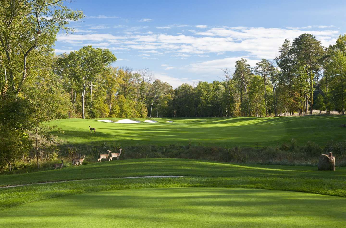 The Norman Course