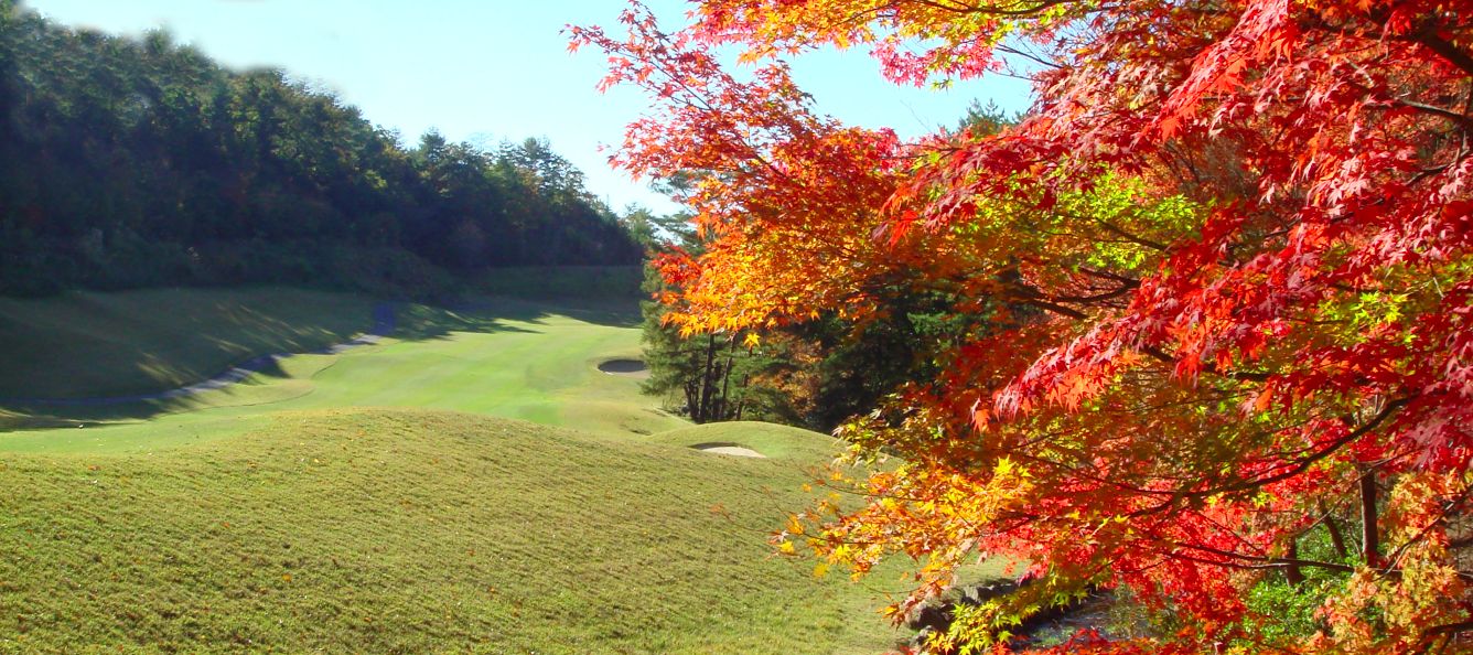 Pine Lake Golf Club