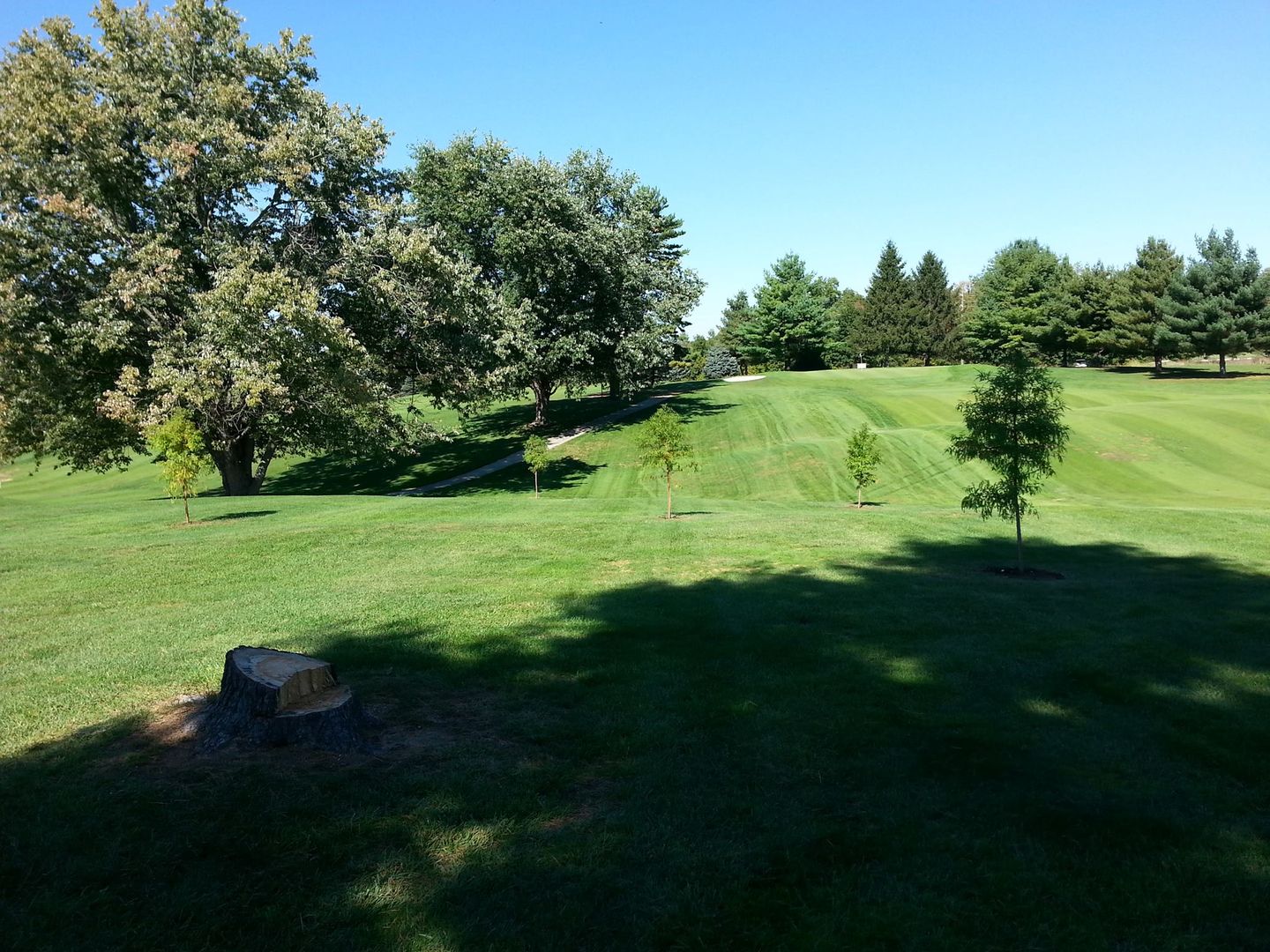 Tiger Pointe Country Club