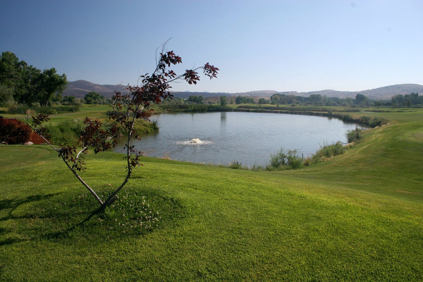 Empire Ranch Golf Course