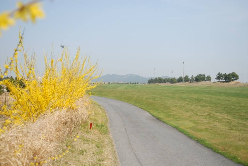 Reed Course