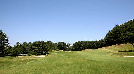 Forest Country Club