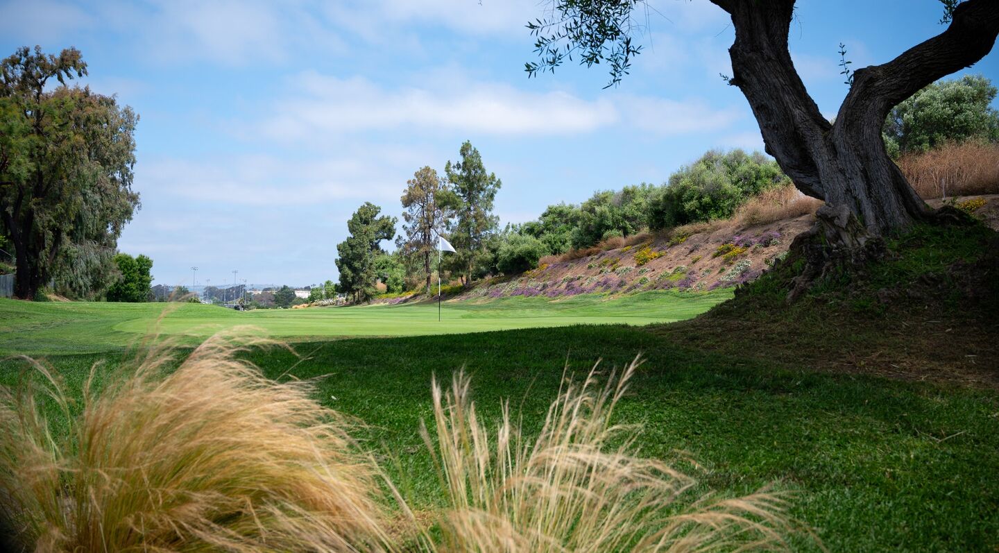 Shorecliffs Golf Club