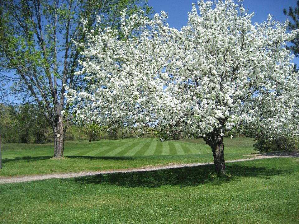 Edgewater Country Club