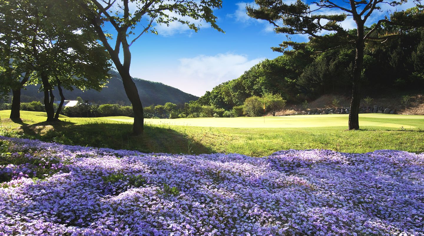 Rocky Hill Course
