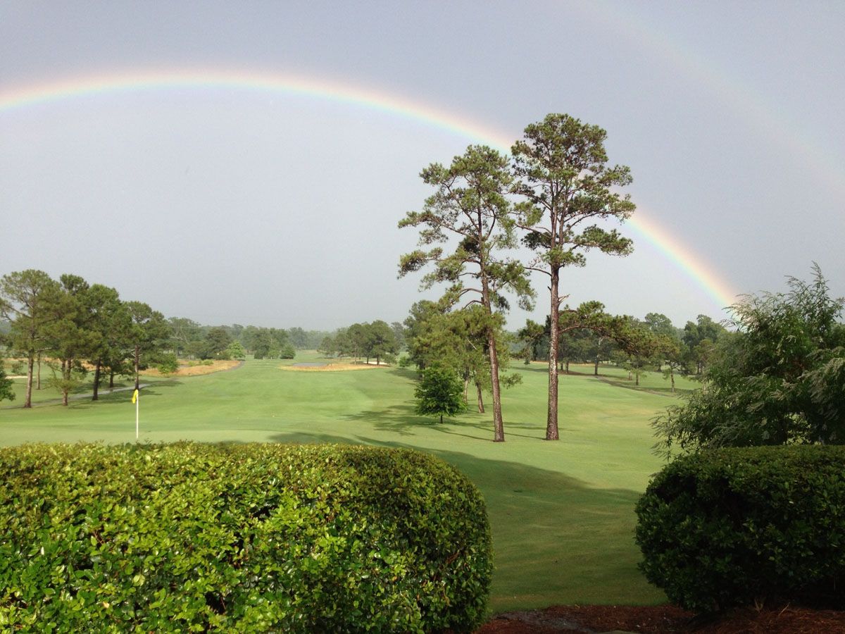 Cypress Course