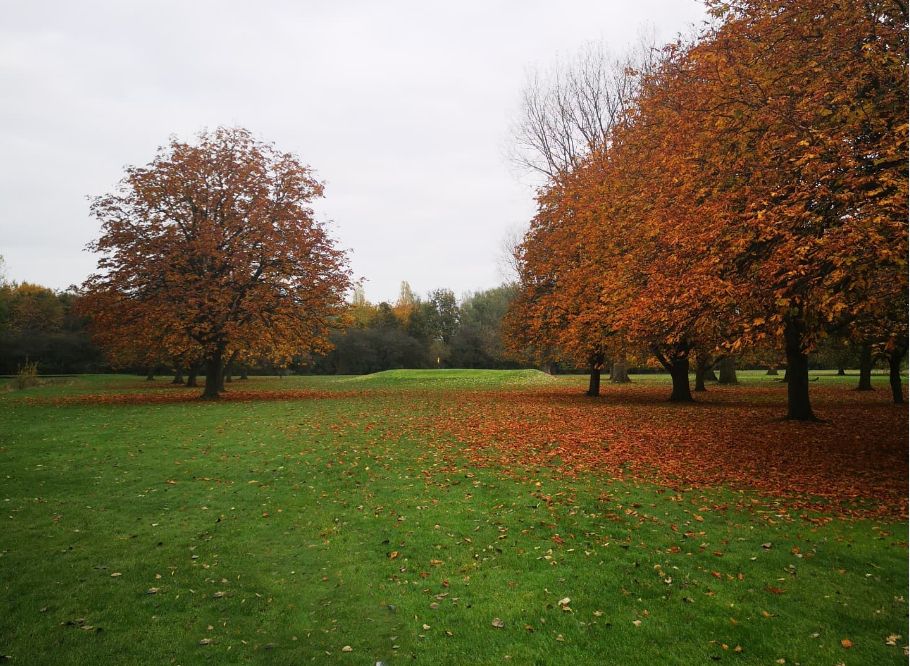 Sutton Park Golf Club