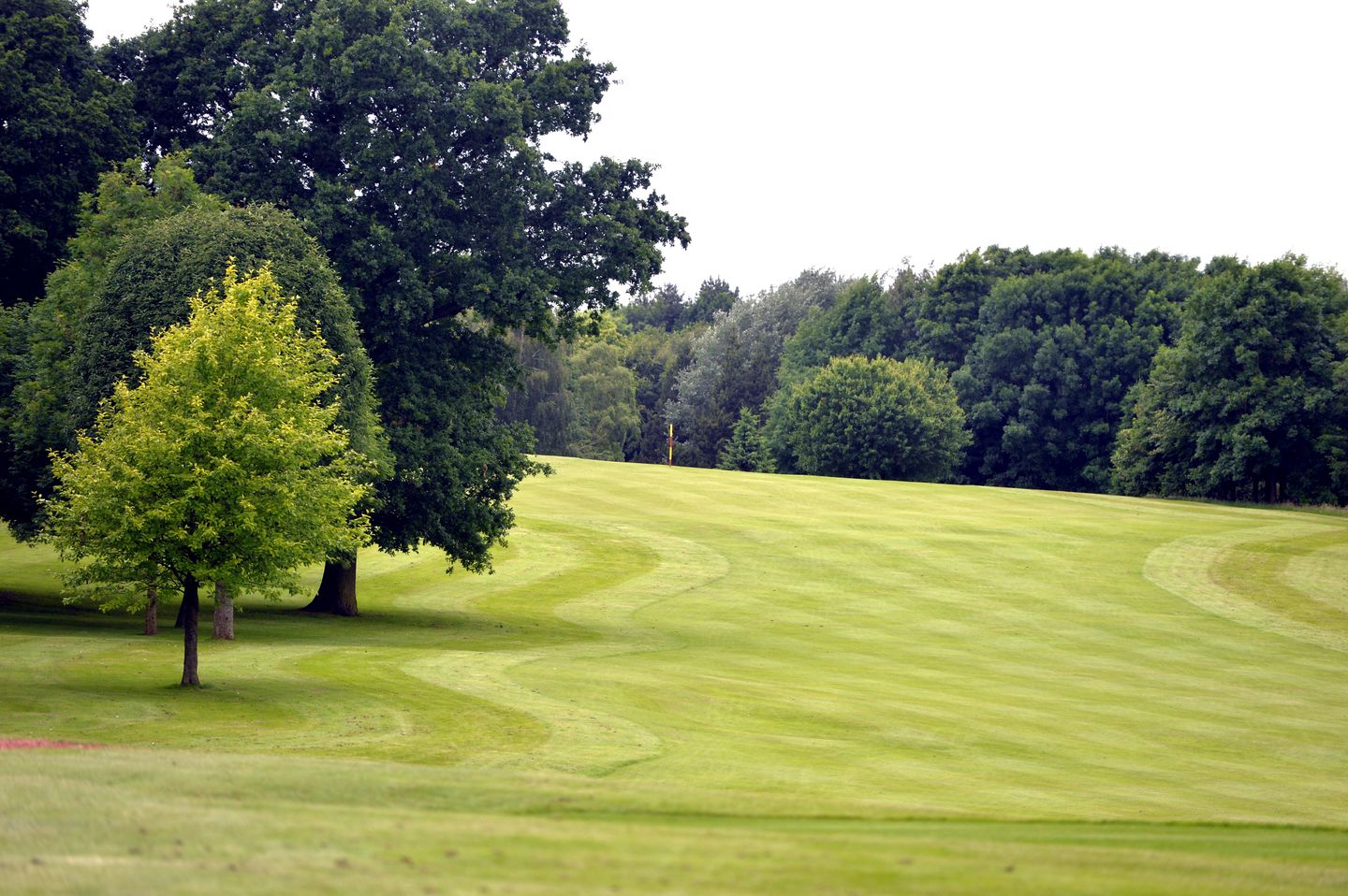 Old Course