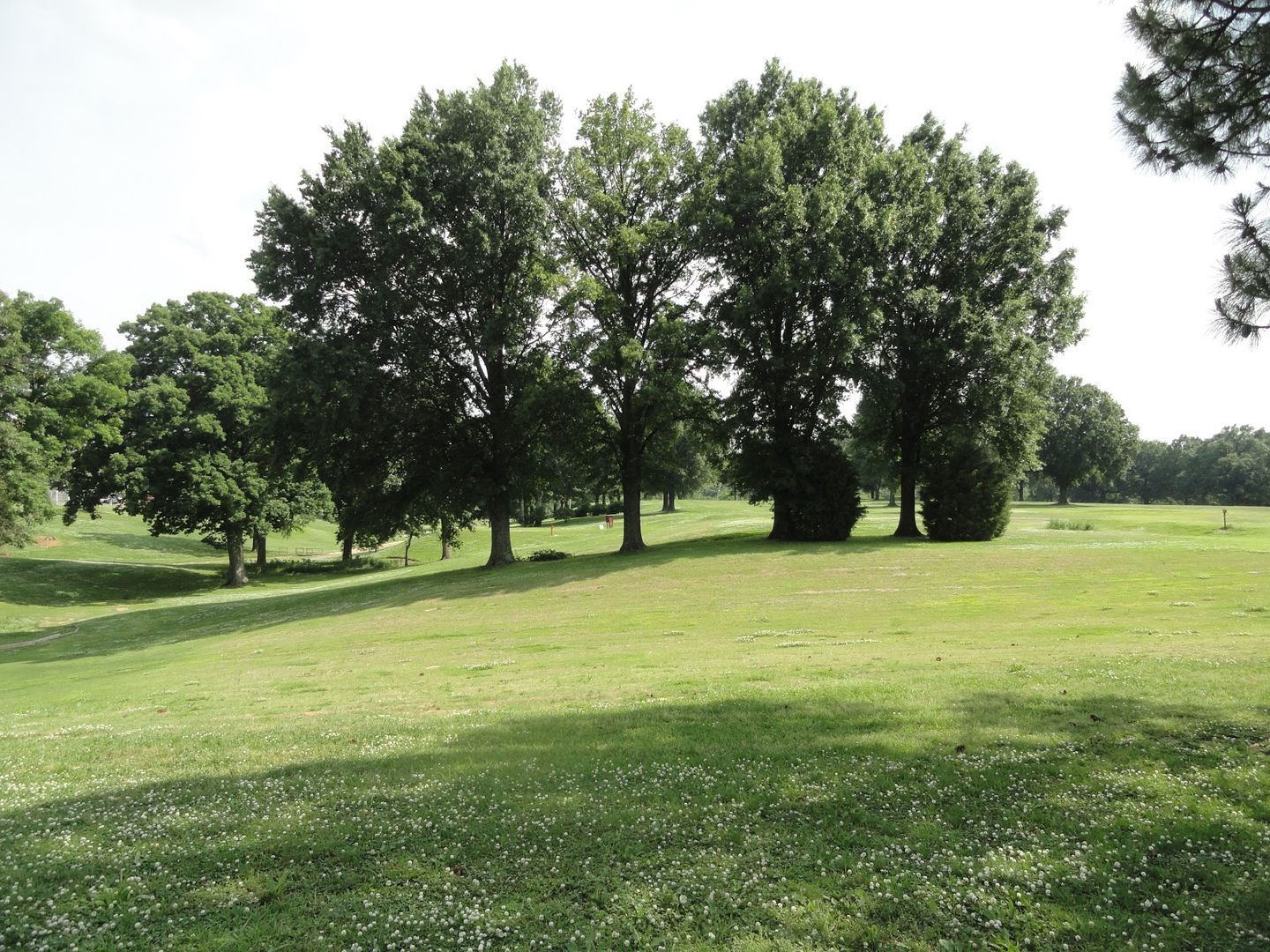 Memphis Athletic Ministries Park Golf Course