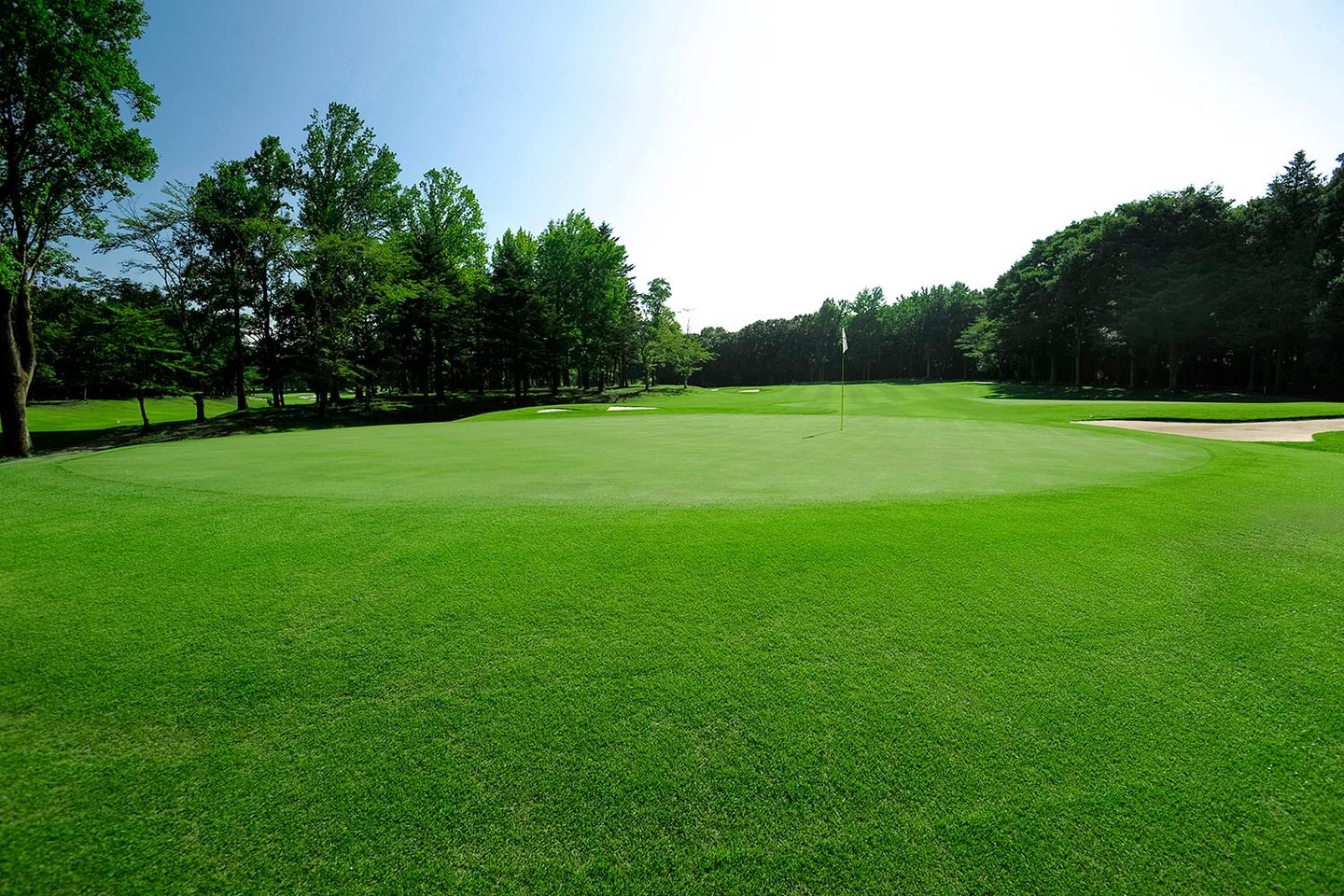 Middle Course
