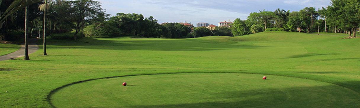 Palm Island Golf Course