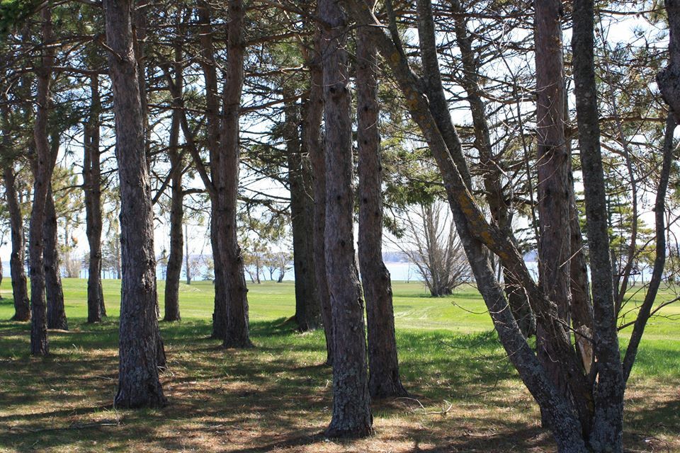 Brule Point Golf