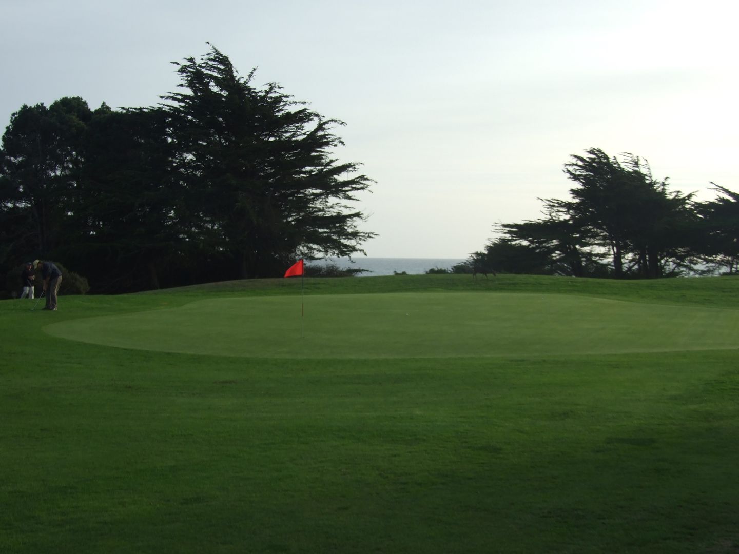 The Sea Ranch Golf Links