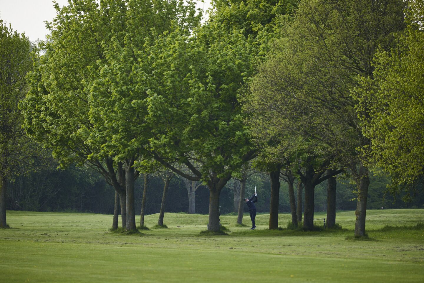 9-hole Course
