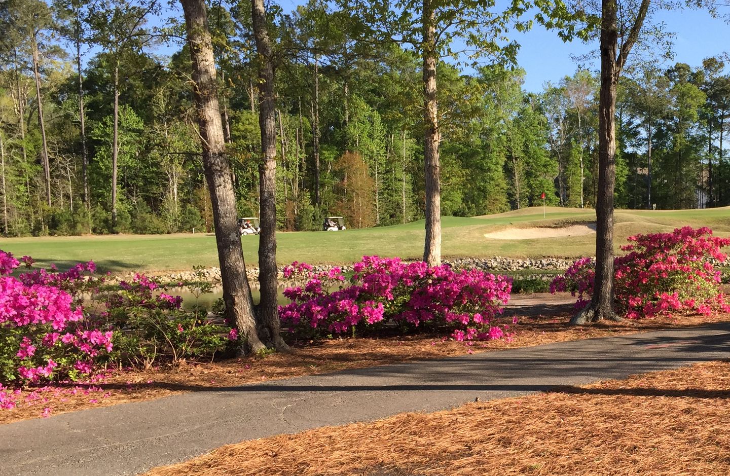 River Oaks Golf Club
