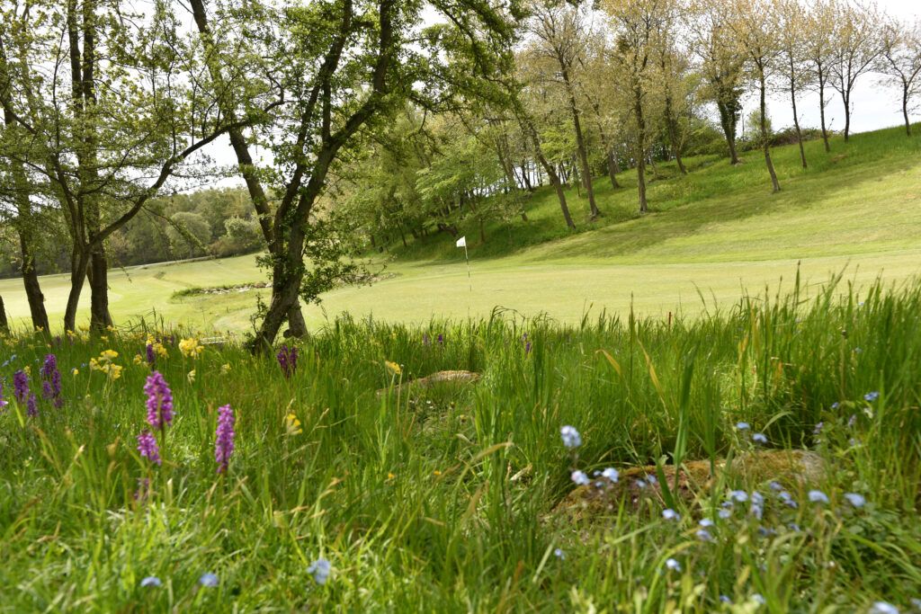 9 Hole Par 3 Course