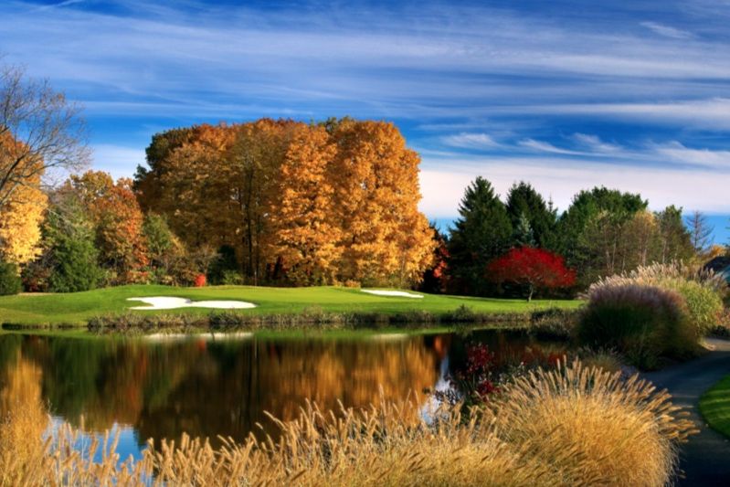 Sharon Golf Club, The