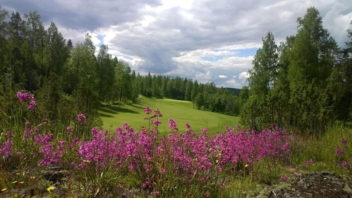 Lakeside Golf Vammala