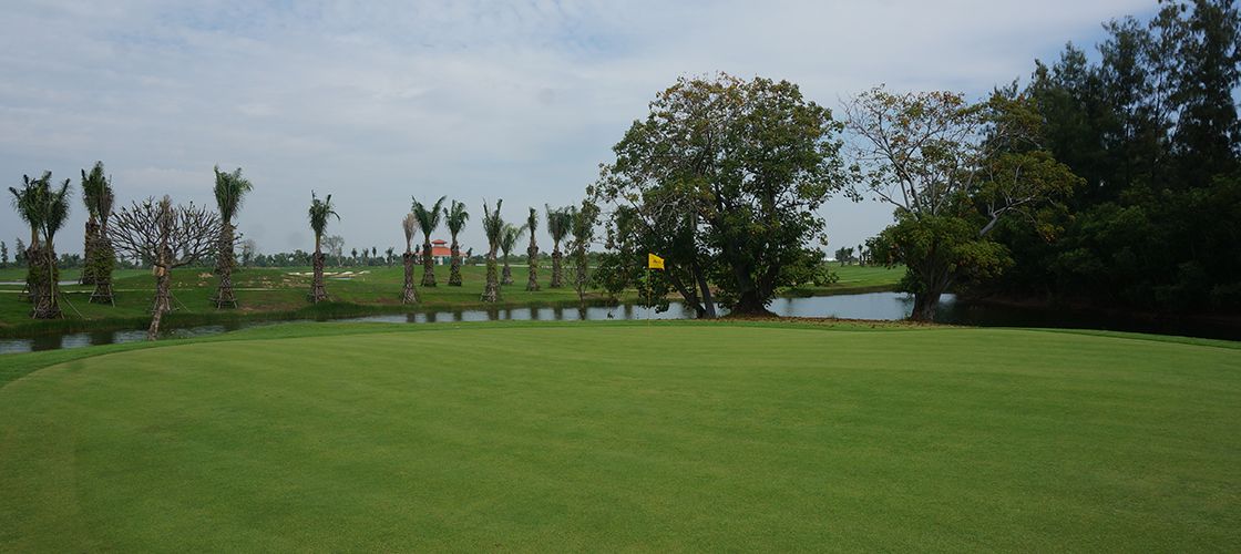 Friends Course
