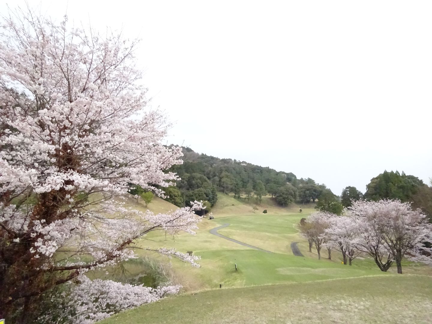 Kumamoto Minami Country Club