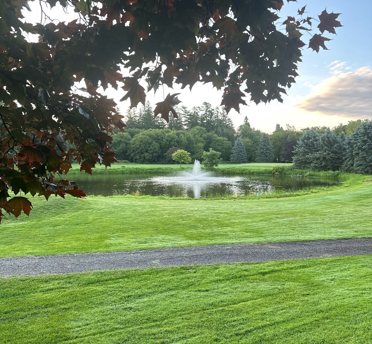 The Mill Golf Course