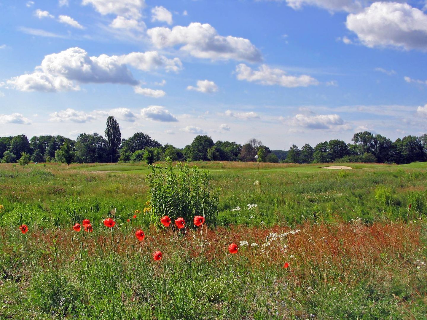 Seddiner See Golf & Country Club