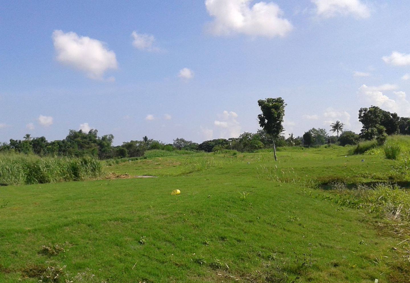 Haciendas De Naga Golf Resort & Country Club