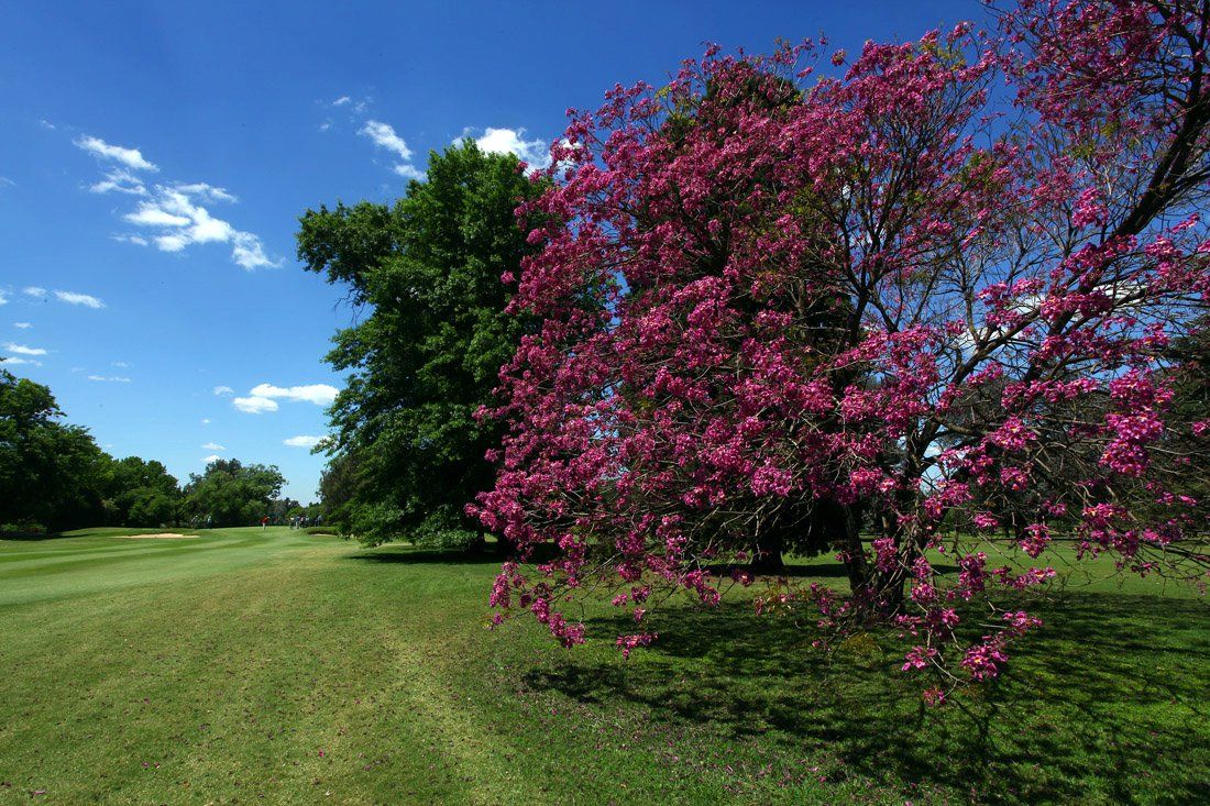 Red Course