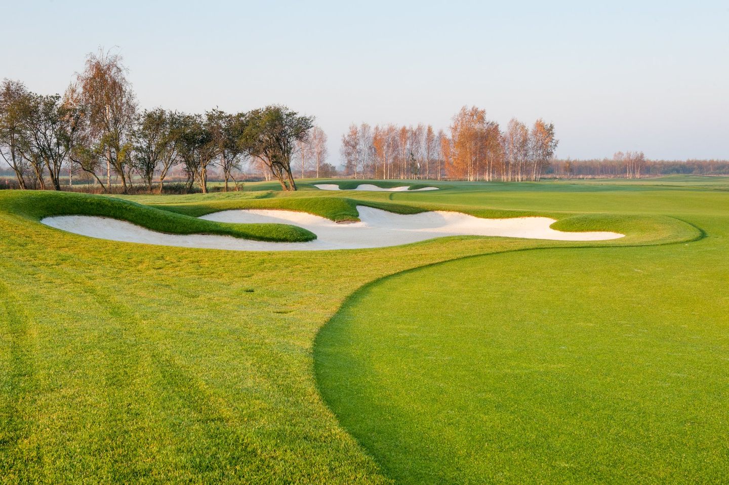 Golf Academy