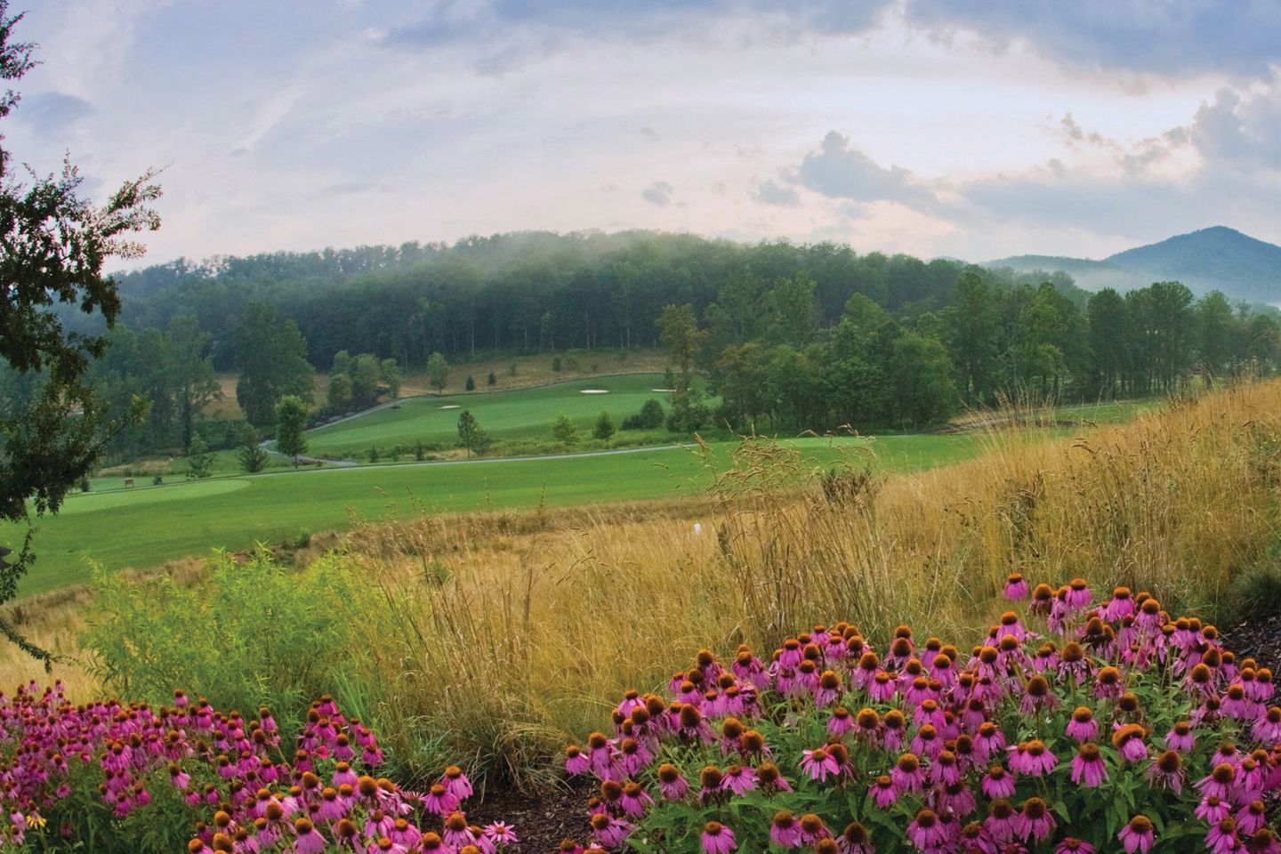 The Cliffs At Walnut Cove