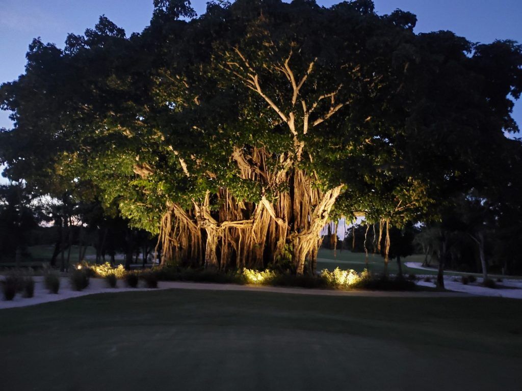 Banyan Creek Golf Club