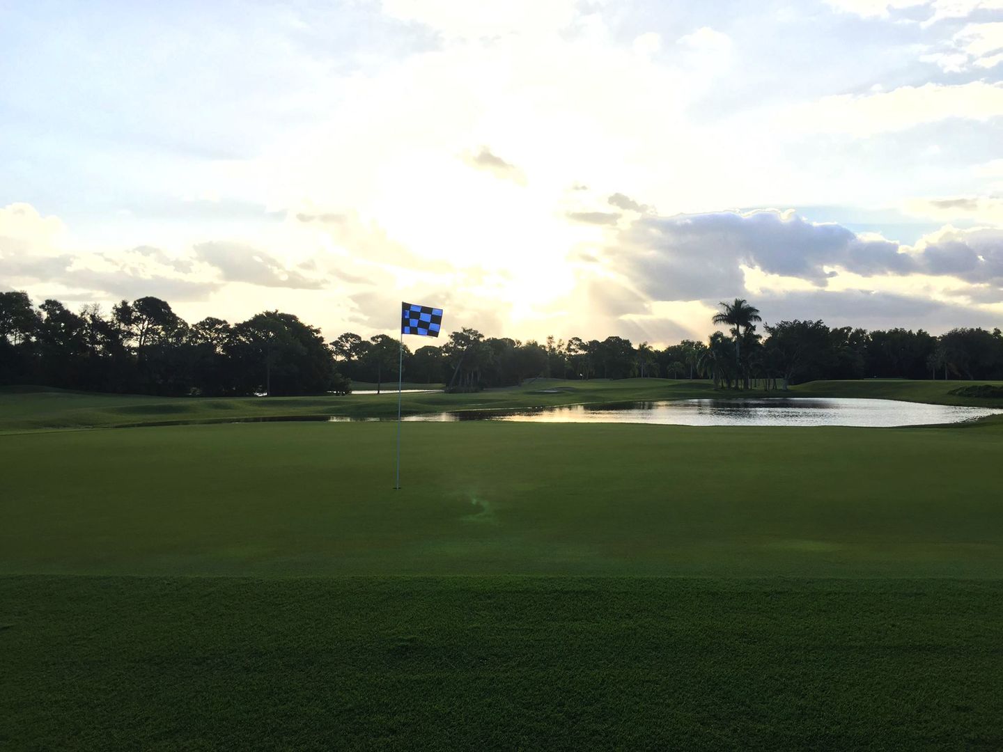 Sailfish Course