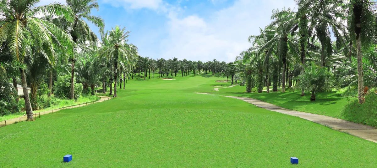 Hibiscus Course