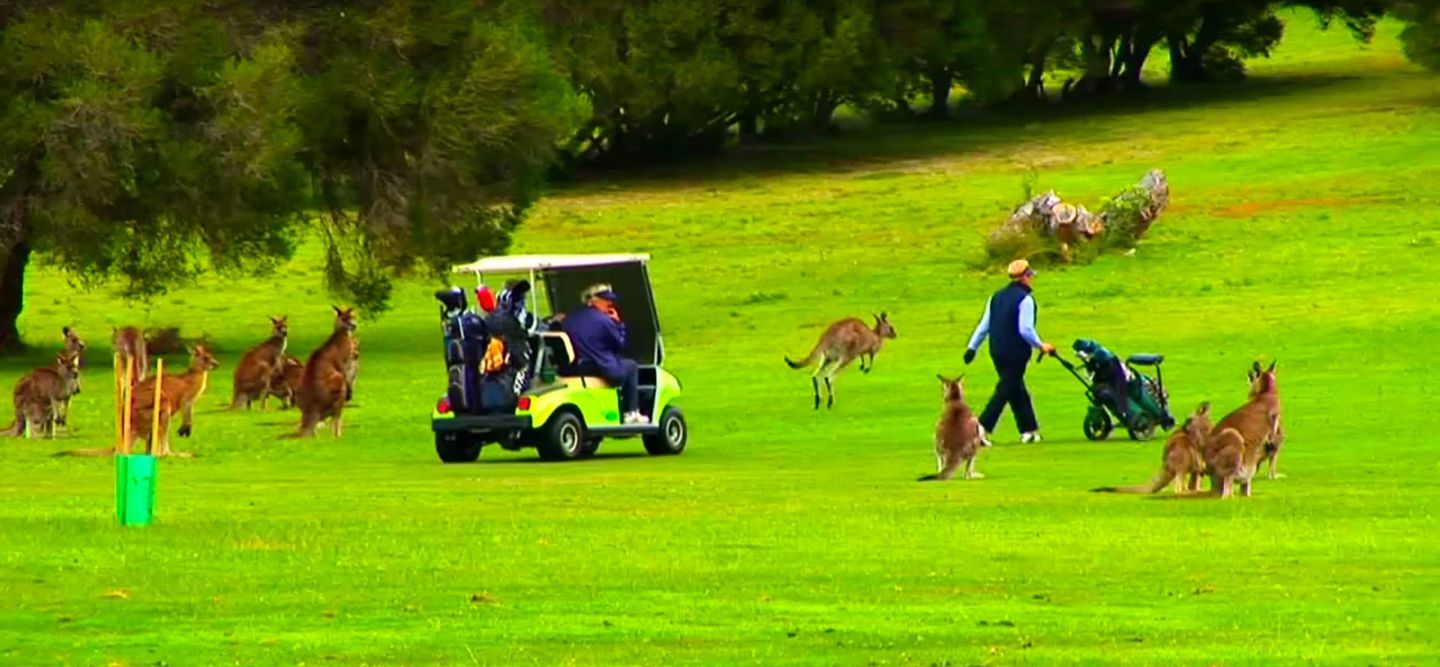 Mallacoota Golf & Country Club