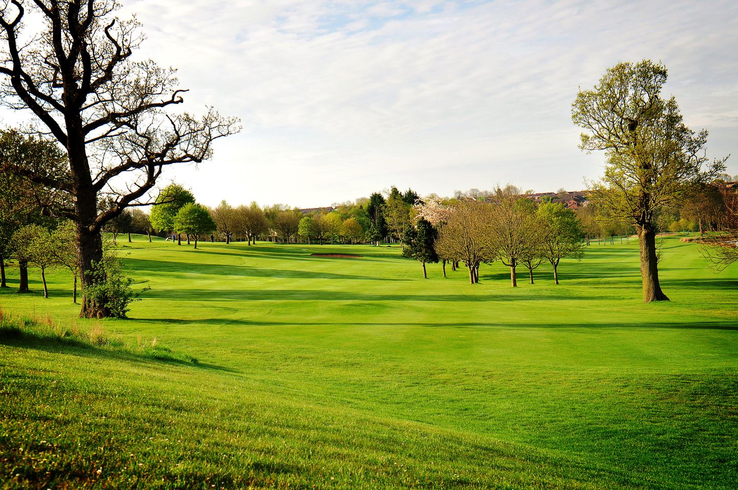 Windmill Village Hotel, Golf Club & Spa
