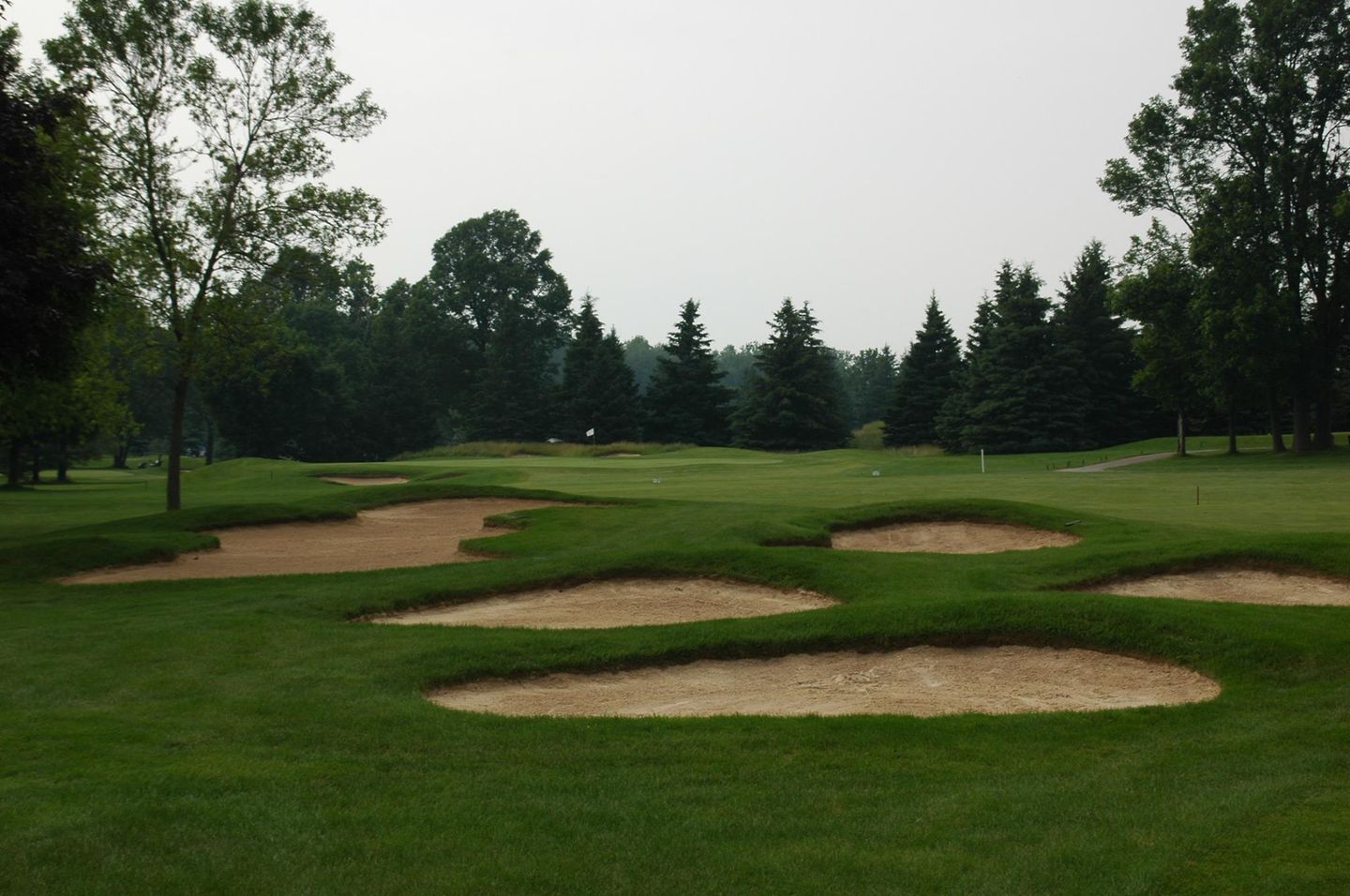 New Course