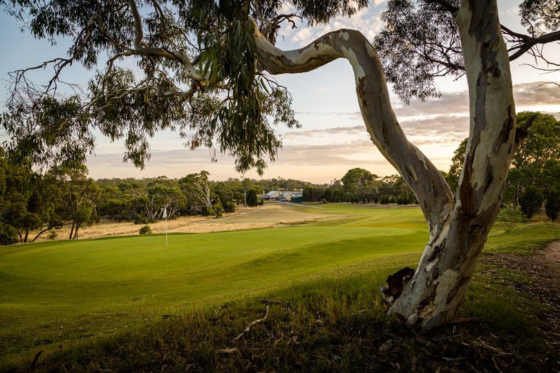 Tanunda Pines Golf Club