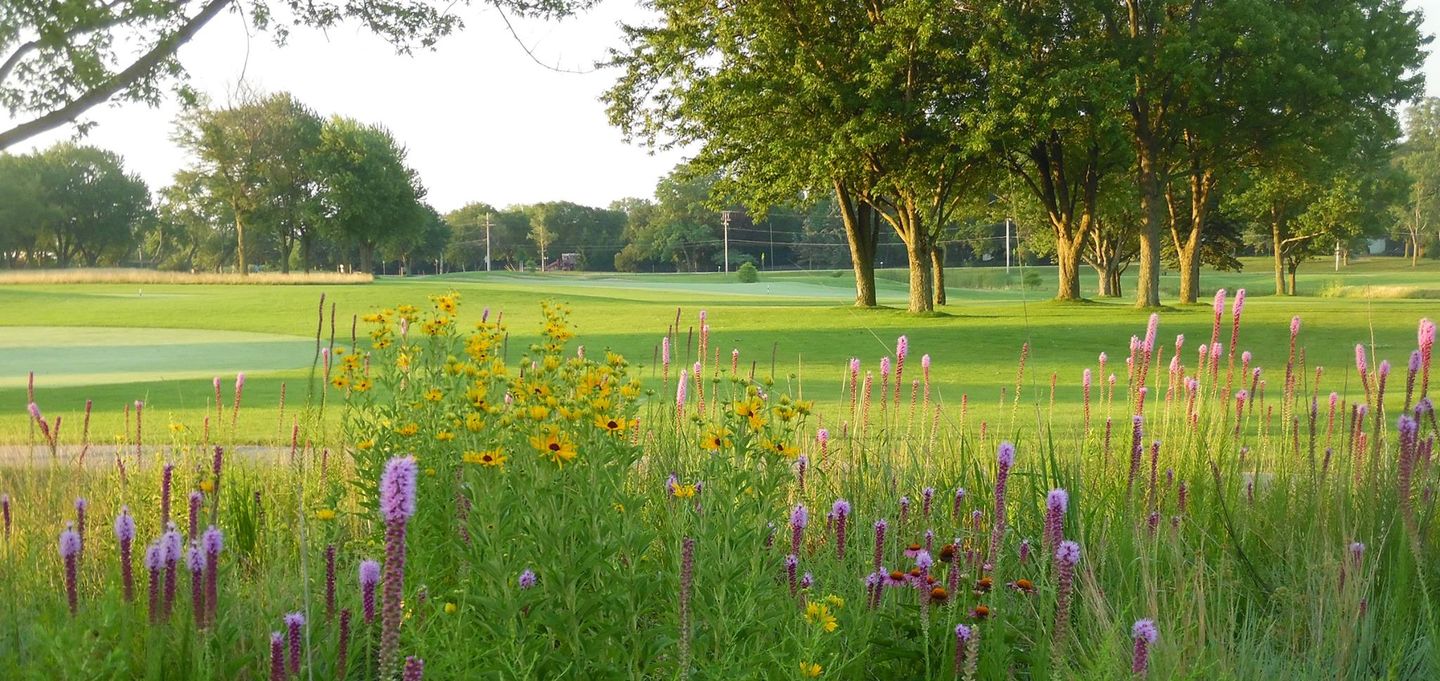 Coyote Run Golf Course