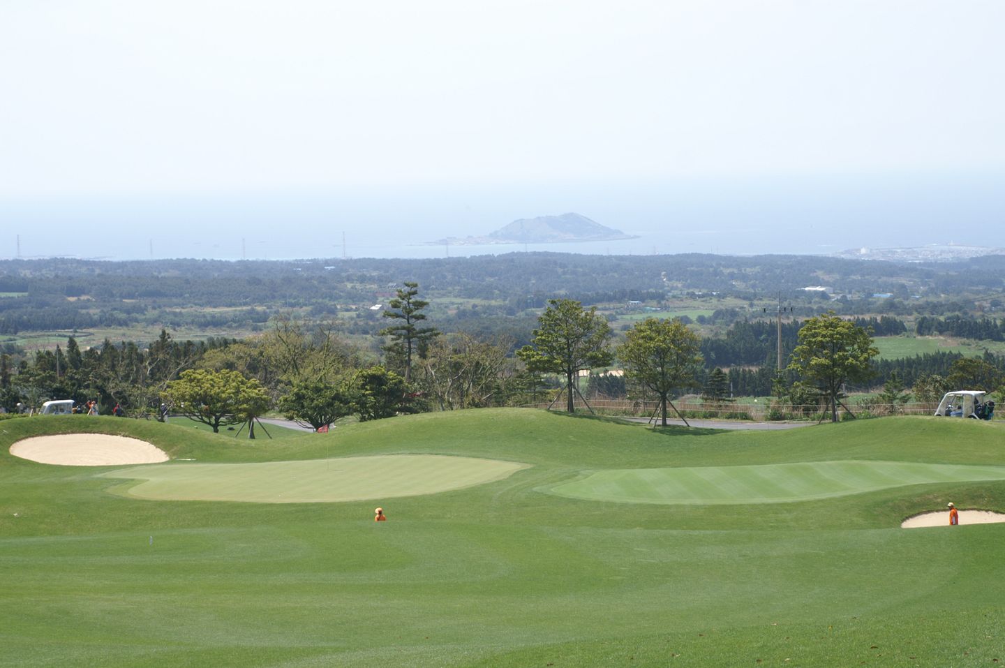 Pine Course