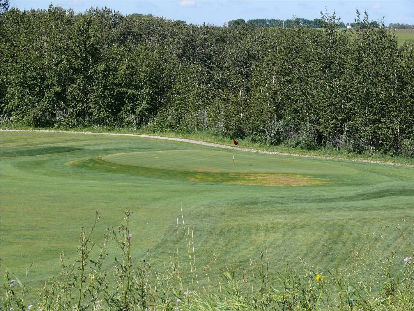 Tooth of the Dogpound Creek Golf Course